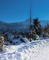 Alpspitze Bavaria Germany